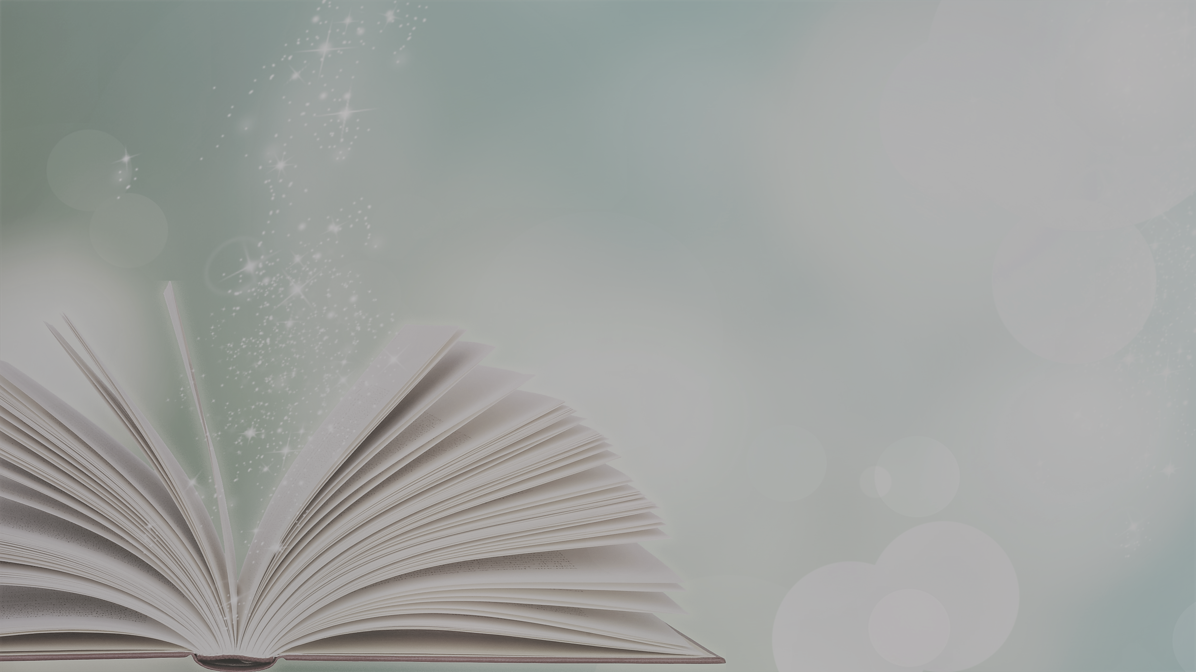 book 2160539 slate - Accueil