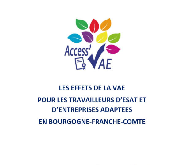 rapport-etude-effets-vae-2019-cover